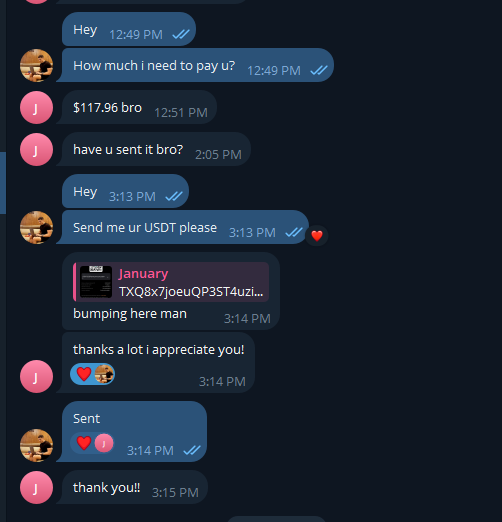 USDT payout sent to a team member